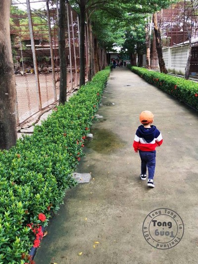 พาตงตงเที่ยวดูสัตว์ที่สามพราน( going to Zoo to...)