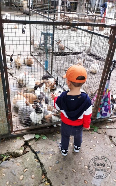 กล้าให้อาหารพี่กระต่ายครั้งแรกเลย