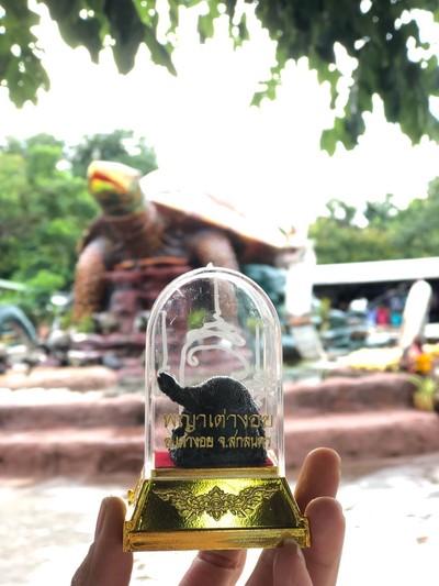 พญาเต่างอย