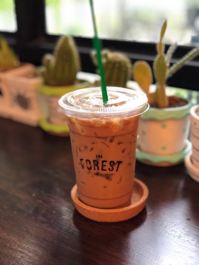 มอคค่ามิ้นต์