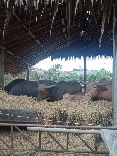 ทริปนี้ที่สุพรรณ