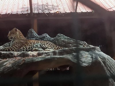 ทริปนี้ที่สุพรรณ