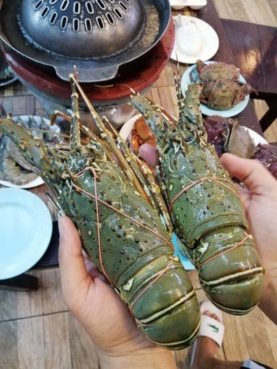 เมาทะเล ณ เชียงใหม่