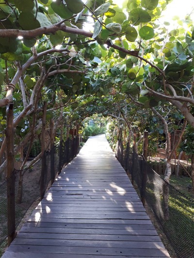 บริเวณโดยรอบ