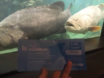 อัตราค่าบริการ