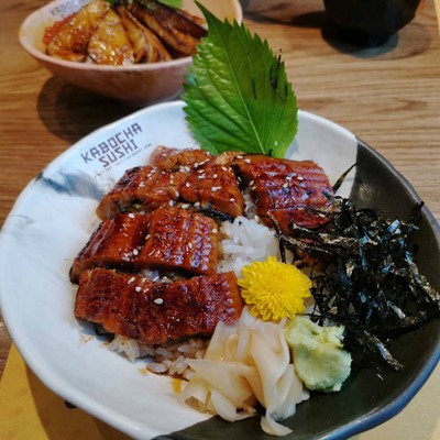 Unagi don