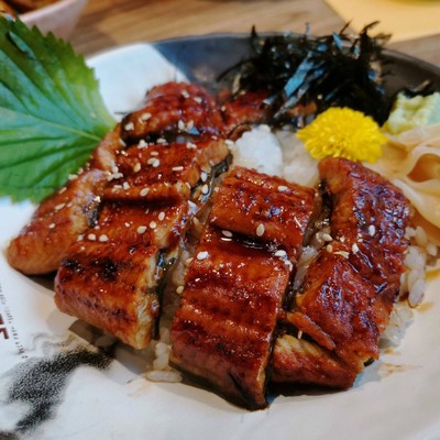 Unagi don