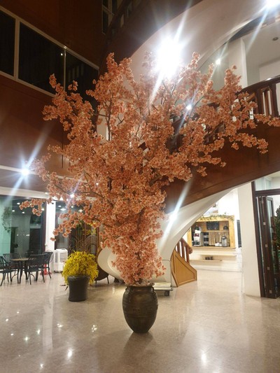 บริเวณโดยรอบ