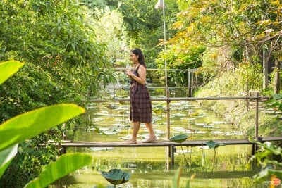 บรรยากาศ The Three Little Pigs ท่าตลาด