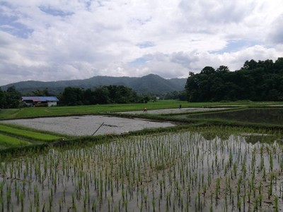 ให้ธรรมชาติบำบัด ที่ เฮือนแม่ธัญญา ดอยสะเก็ด เชียงใหม่เจ้า