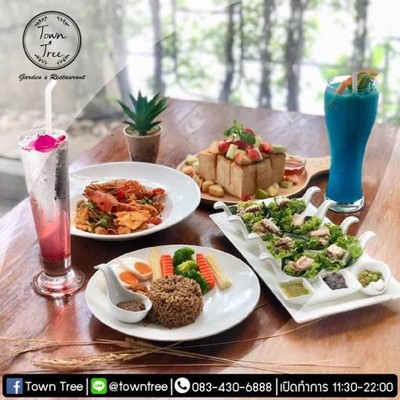 Town Tree (ทาวน์ทรี) Town Tree (ทาวน์ทรี)
