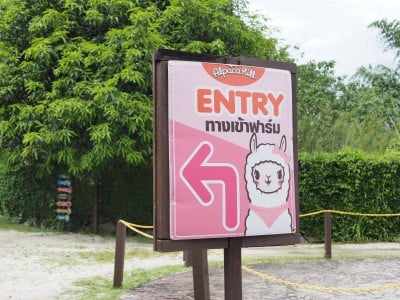 Alpaca Hill (อัลปาก้าฮิลล์)