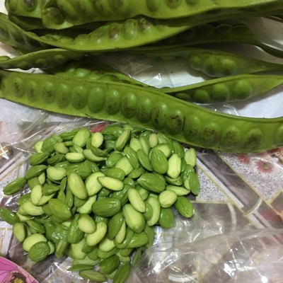 how to cook สะตอผัดกะปิกุ้งสด