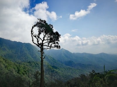 วิววววววระหว่างทาง