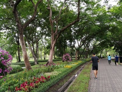 บรรยากาศ สวนสมเด็จพระนางเจ้าสิริกิติ์ฯ