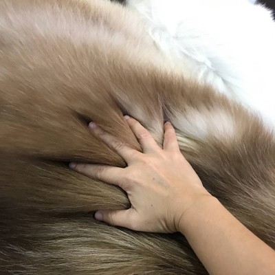 ขนหนามากเวอร์ นุ่มปนกระด้างเบาๆ 🤣