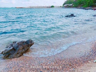 วันเหงาๆ ที่...เขาแหลมหญ้า