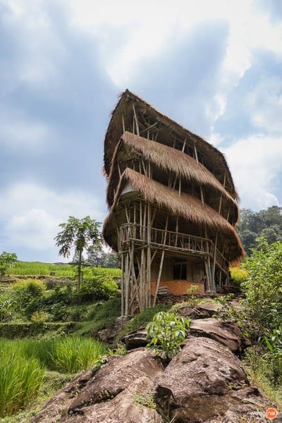 Giant Bamboo Hut