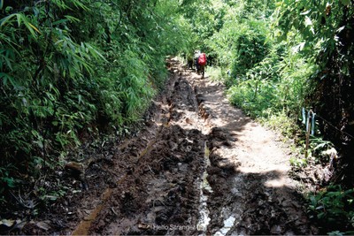 ตามล่าหาหัวใจที่...น้ำตกปิตุ๊โกร