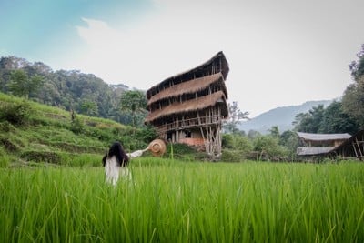 Giant Bamboo Hut