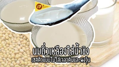 นมถั่วเหลืองใส่น้ำขิงหรือน้ำเต้าหู้ใส่น้ำขิง ไม่ง้อผงวุ้นและเจลาติน นมถั่วเหลืองใส่น้ำขิงหรือน้ำเต้าหู้ใส่น้ำขิง ไม่ง้อผงวุ้นและเจลาติน