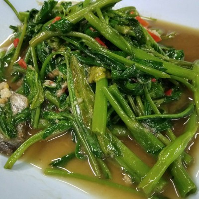 ผัดผักบุ้ง