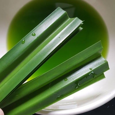 วิธีทำ ขนมถ้วยใบเตย