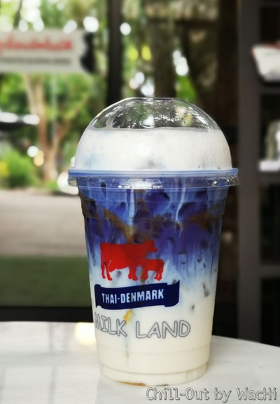 นมสดอัญชันเย็น