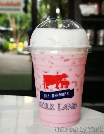 นมสดชมพูเย็น