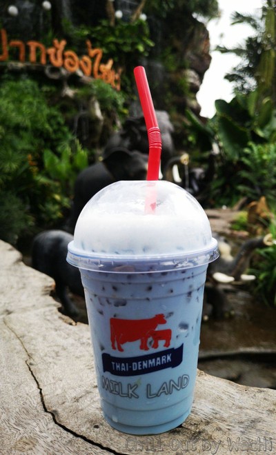 นมสดอัญชันเย็น