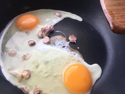 วิธีทำ ใบเหรียงผัดไข่ วิธีทำ ใบเหรียงผัดไข่