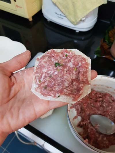 วิธีทำ ขนมจีบหมู วิธีทำ ขนมจีบหมู