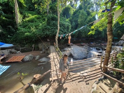 หนาวนี้ที่ม่อนแจ่ม