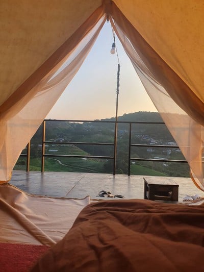 หนาวนี้ที่ม่อนแจ่ม