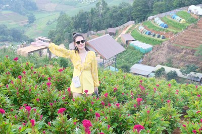 อันนี้ม่อนแจ่ม 