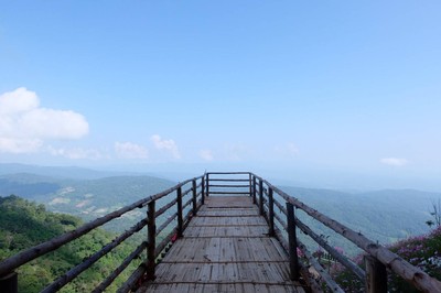 หนาวนี้ที่ม่อนแจ่ม