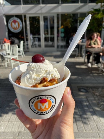 Pumpkin spice sundae