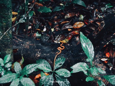 ทริปฟ้าเปิด 10 นาที...ที่เขาหลวงประจวบ