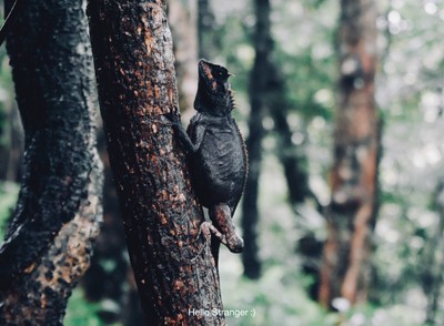 ทริปฟ้าเปิด 10 นาที...ที่เขาหลวงประจวบ