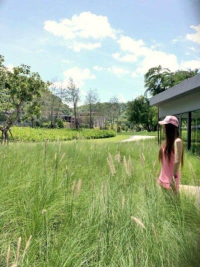 บริเวณโดยรอบ
