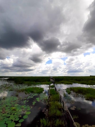 บรรยากาศ