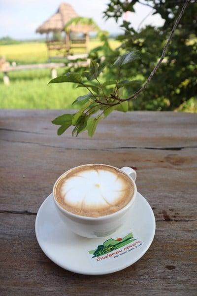 บ้านผ่อดอย กอยดาว (Baan Porhdoi Goidao & Cafe') บ้านผ่อดอย กอยดาว (Baan Porhdoi Goidao & Cafe')