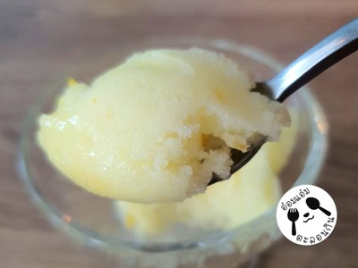 Yuzu Citrus Ice-Cream