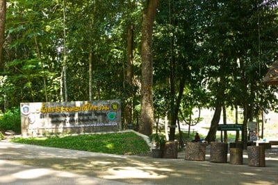 โป่งน้ำร้อนไทรงาม