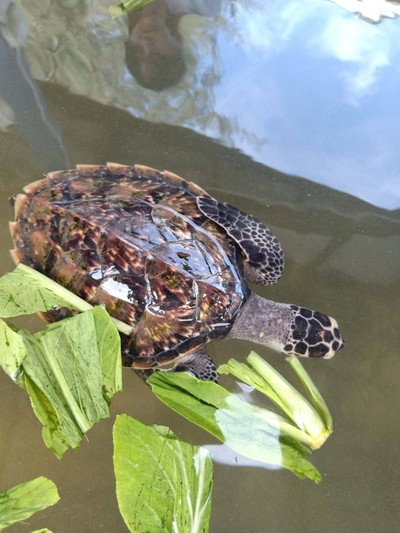 3 วัน 2 คืน ที่หาดเตยงาม สัตหีบ ชลบุรี