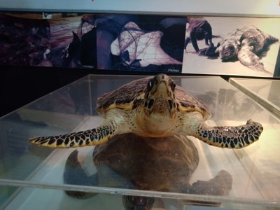 3 วัน 2 คืน ที่หาดเตยงาม สัตหีบ ชลบุรี