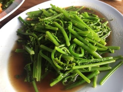 ผัดผักกูด