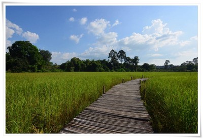 บรรยากาศ