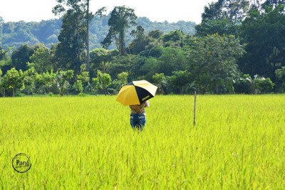 บรรยากาศ