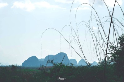 เ ข า "ที่ฉันหลงรัก" พังงา